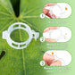 🥳2026 HOT SALE🥳💞50K+ SOLD!✨ 💝Secured Plastic Plant Clips-4