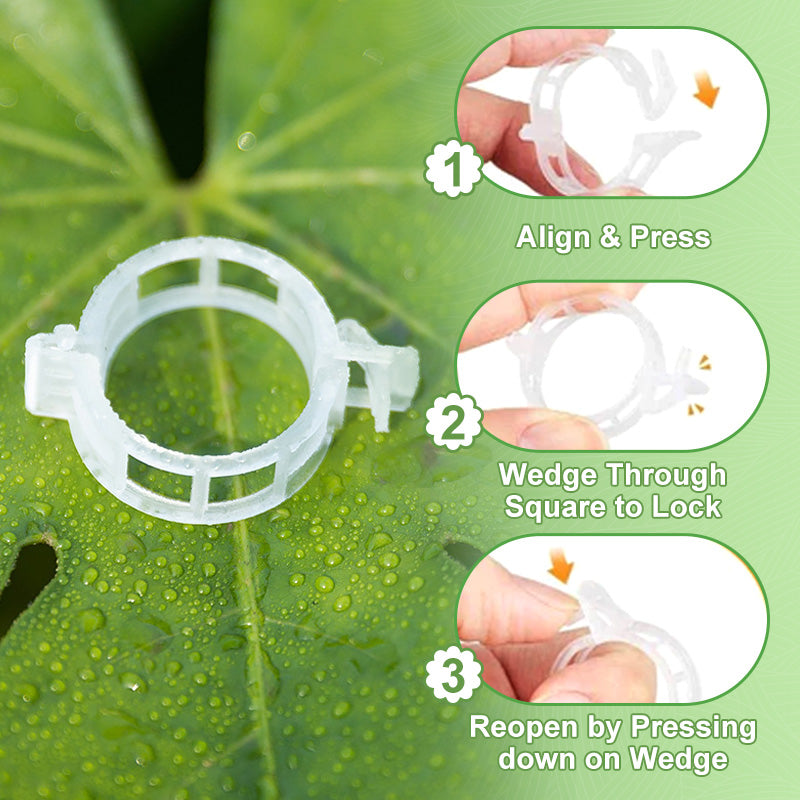 🥳2026 HOT SALE🥳💞50K+ SOLD!✨ 💝Secured Plastic Plant Clips-4