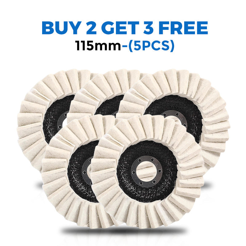 Wool Felt Flap Polishing Disc-12