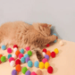 To Spend More Time With Your Pets Plush Ball Shooting Gun-3