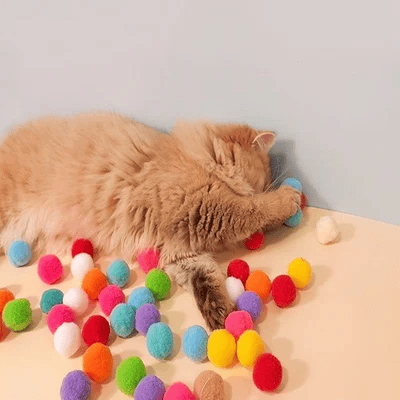 To Spend More Time With Your Pets Plush Ball Shooting Gun-3