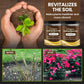 🔥Seasonal Promotion🔥Soil Pro Activator-3