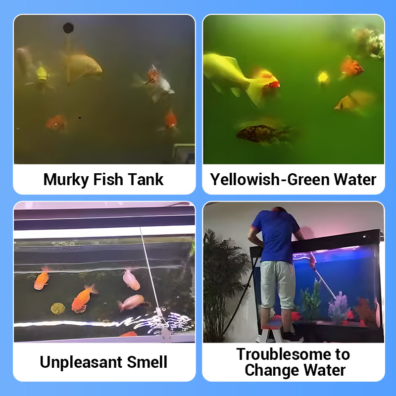 Buy 2 Get 1 Free⚡50K+ SOLD!🐠Powerful Aquarium Water Purification Tablet🌿-1