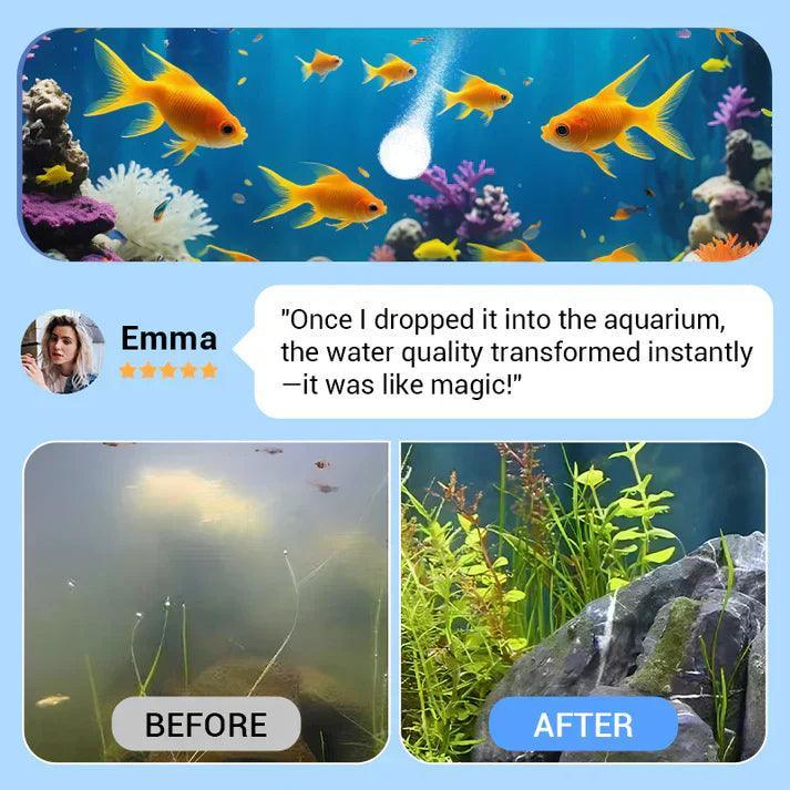 💥Hot sale♻️💧Powerful Aquarium Water Purification Tablet-2