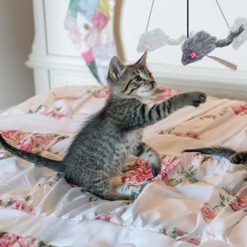 🔥Clearance Sale🔥Hanging Cat Scratch Mouse-7