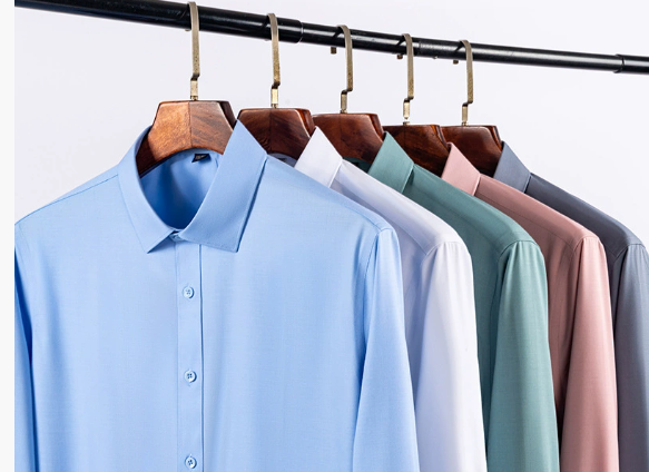 🔥2025 HOT SALE🔥Men's Wrinkle-Free Button-Down Shirt-12
