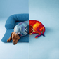 🐶 Self-Cooling Dog Bed – Cozy Summer Resting Mat for Dogs & Puppies