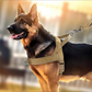 🏆✨Robustes taktisches Hundegeschirr mit Griff🐕
