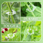 🥳2026 HOT SALE🥳💞50K+ SOLD!✨ 💝Secured Plastic Plant Clips-2
