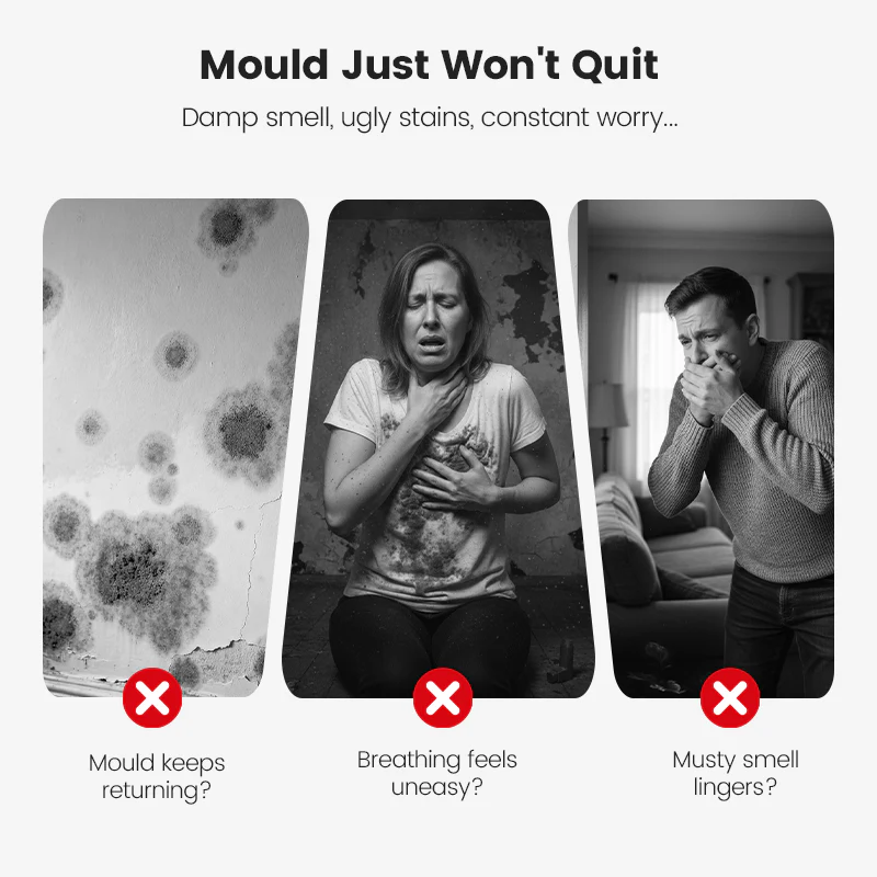 🎁Black Friday limited time sale!🎁Highly Effective Mould Removal Spray - Prevents Mould Regrowth-4
