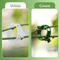 🥳2026 HOT SALE🥳💞50K+ SOLD!✨ 💝Secured Plastic Plant Clips-6