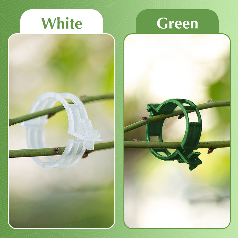 🥳2026 HOT SALE🥳💞50K+ SOLD!✨ 💝Secured Plastic Plant Clips-6