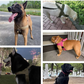 🏆✨Robustes taktisches Hundegeschirr mit Griff🐕