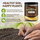 🔥Seasonal Promotion🔥Soil Pro Activator-9