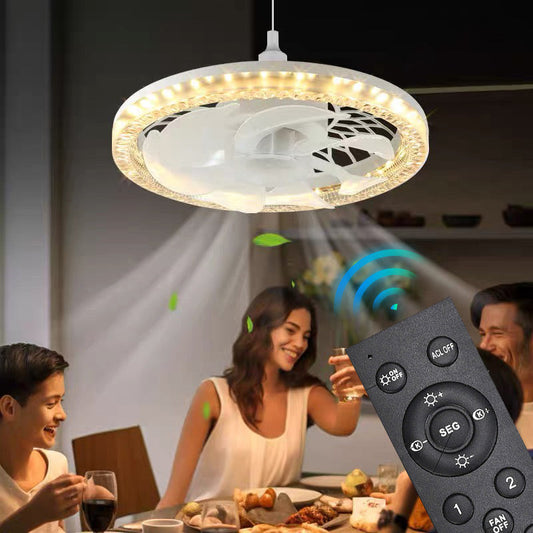 New for 2024🔥 2-in-1 Mute Adjustable Fan Light with Remote Control ✈️fri shipping