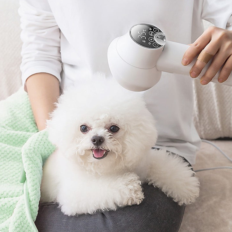 🎁Limited Time 40% OFF⏳&Free Shipping🔥Low Noise Pet Hair Dryer with Slicker Brush-1