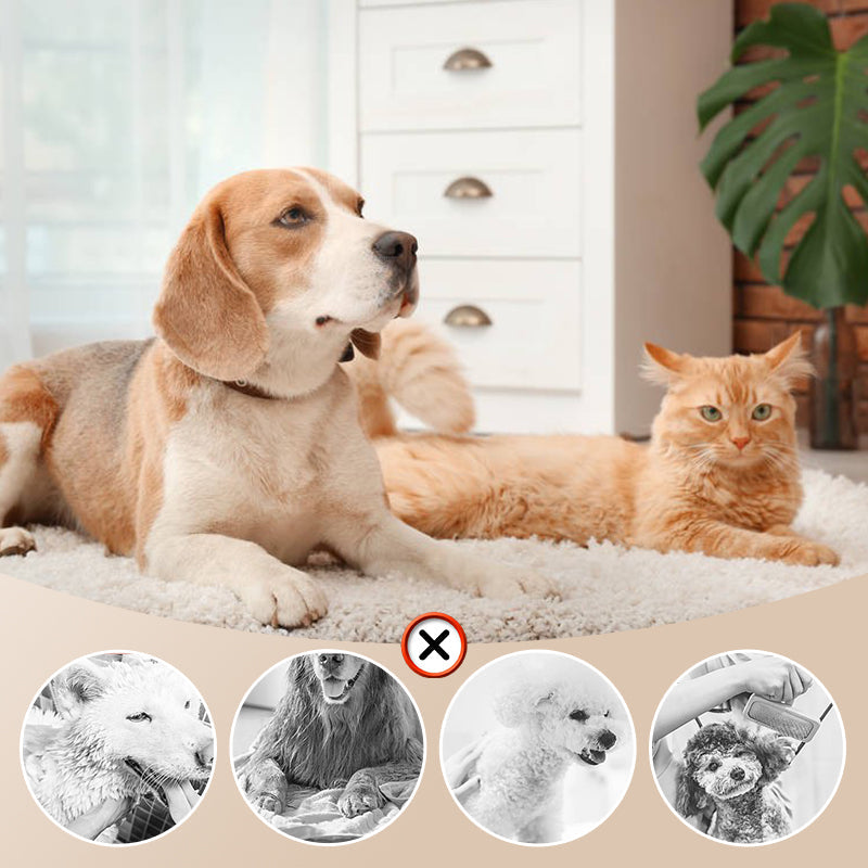 🎁Limited Time 40% OFF⏳&Free Shipping🔥Low Noise Pet Hair Dryer with Slicker Brush-5