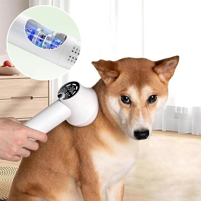 🎁Limited Time 40% OFF⏳&Free Shipping🔥Low Noise Pet Hair Dryer with Slicker Brush-6