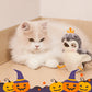🔥HOT Sale🔥Cute Flapping Wings Electric Teasing Cat Toy-1