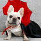 ✨New Arrival✨Halloween Creative Cape Pet Costume-2