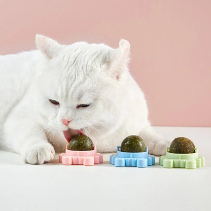 🐱Katteurtkugler (Køb 2, få 1 gratis)🐱
