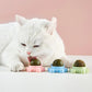 🐱Katteurtkugler (Køb 2, få 1 gratis)🐱