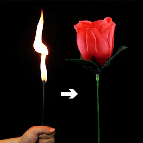 🔥Valentine's Day Sale🔥Magic Rose - Torch to Rose💖-3