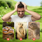 🔥Limited-Time Offer☘️Solar Powered Waterproof Animal Repellent