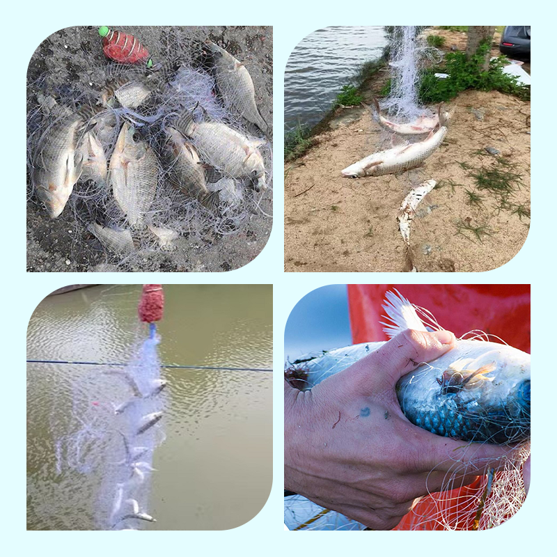 🔥2025 Hot Sale 50% Off🔥Fishing Gill Net with Spring Bait Trap-3
