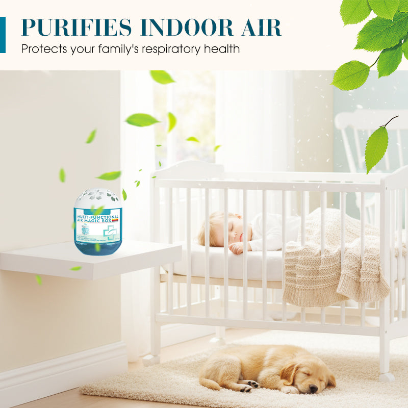 🔥2026 New Collection - Limited-Time Pre-Sale⏰Indoor Air Purification Dust Removal Magic Box🏠🌿-7