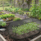 ⏳Limited-time 50% off⏰Pop-Up Plant Protection Mesh Cover🌱🛡️-2