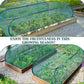 ⏳Limited-time 50% off⏰Pop-Up Plant Protection Mesh Cover🌱🛡️-5