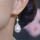 ✨Elegant Shiny French-Style Faux Pearl Earrings