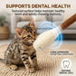 😻Interactive Swab Cat Toy with Catnip