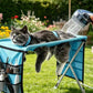 🐾 Foldable Pet Grooming Station – Safe & Comfortable Bathing Bed For Dogs & Cats
