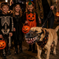 🎃 Halloween Dog Costume Muzzle – Funny Monster Mouth Pet Costume