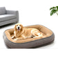 🐾  All-Season Ergonomic Comfort Pet Bed – Supportive Foam Base, Breathable Dual-Texture & Cloud-Like Bolster – Cozy Rest All Year ✨