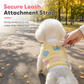 🐶 Dog Vest With Built-In Leash ❄️ Warm & Easy to Wear